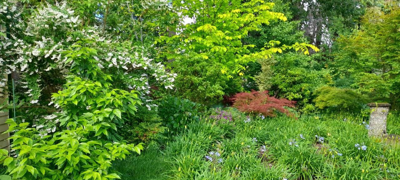 تاومارونوي Earthsounds Country Cottage المظهر الخارجي الصورة