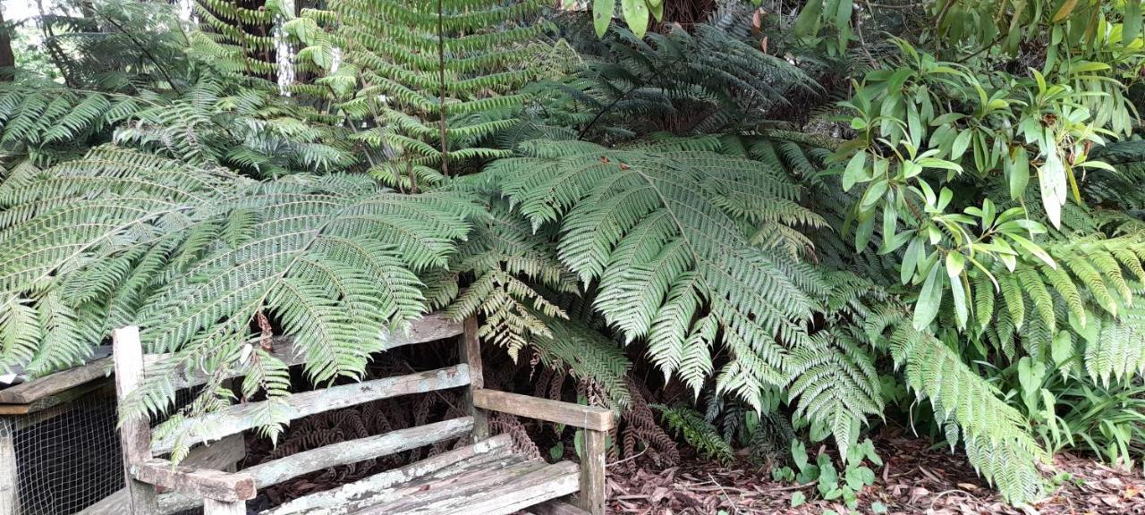 تاومارونوي Earthsounds Country Cottage المظهر الخارجي الصورة