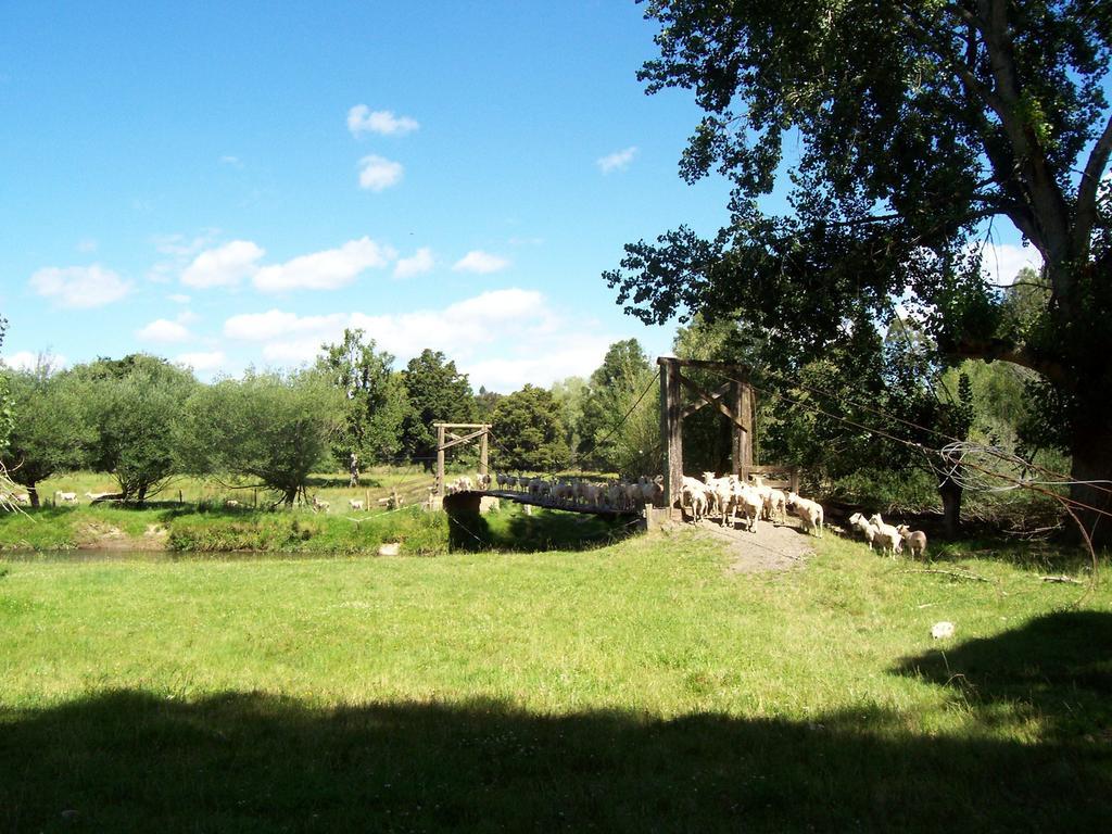 تاومارونوي Earthsounds Country Cottage الغرفة الصورة